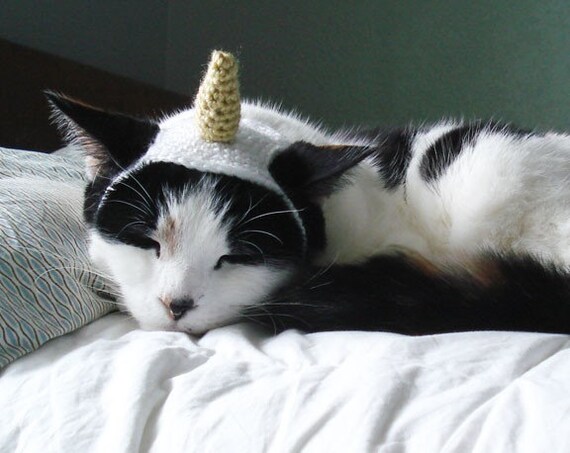 pet hat - unicorn