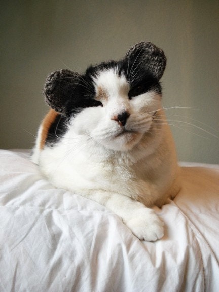 knitting pattern - bear pet costume