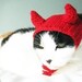 pet hat - devil