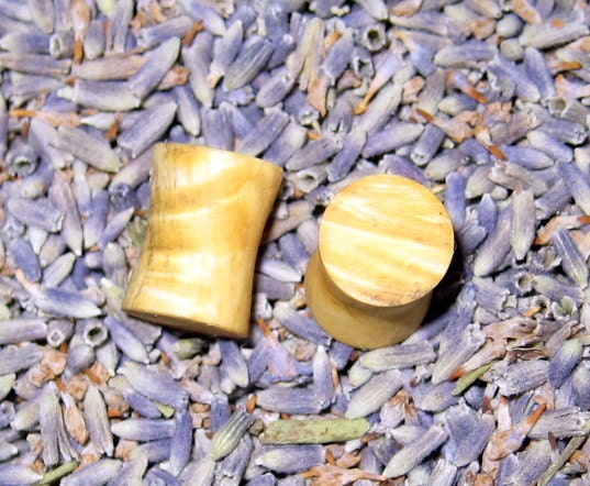 Creamy Buckeye burl wood ear plugs, gauges, 8 mm, 0 gauge, hand turned, WoW