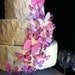 The Original EDIBLE BUTTERFLIES - Assorted Pink set of 30 - Cake & Cupcake toppers - Food Accessories