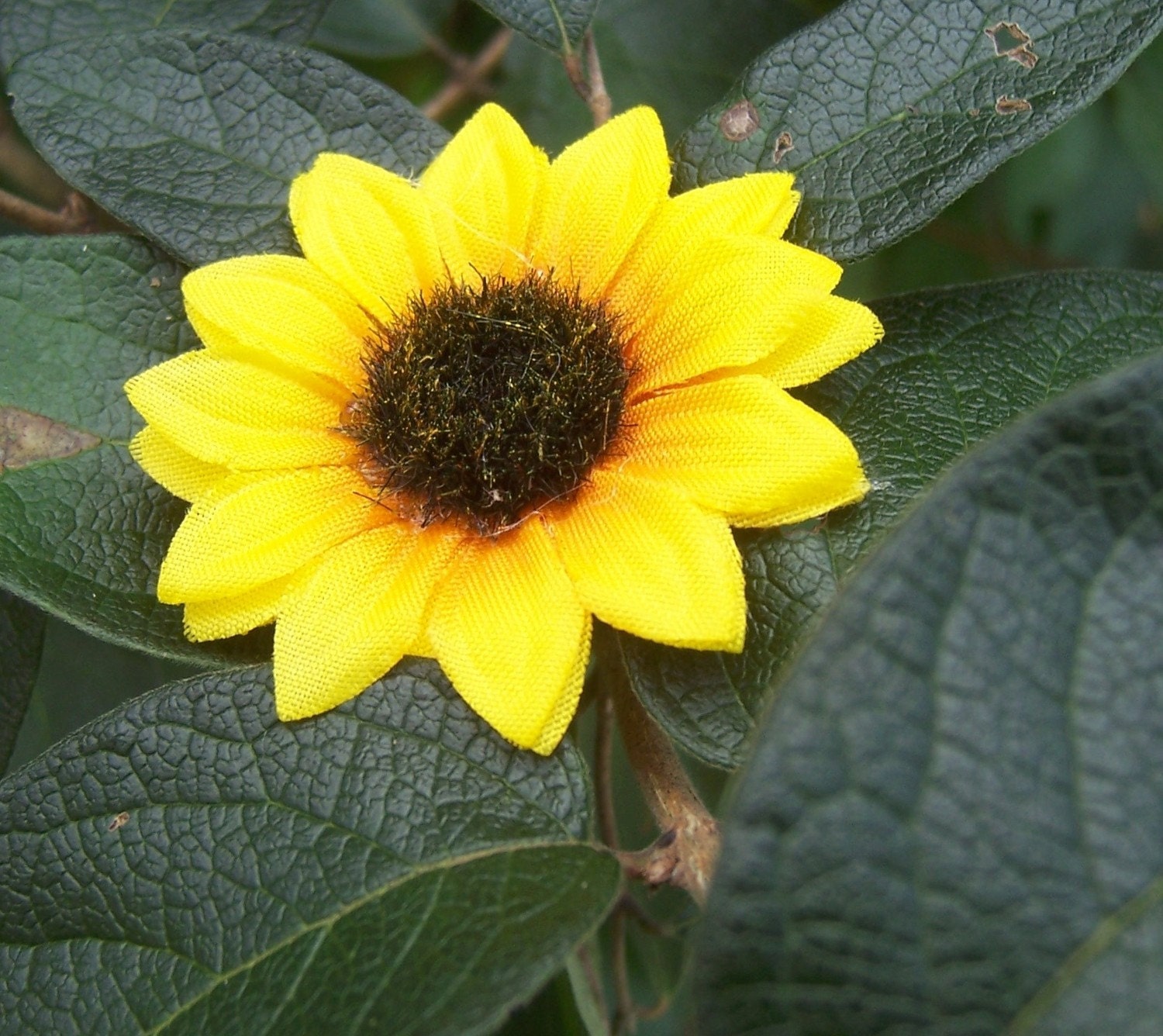 Miniature Sunflower Magnet