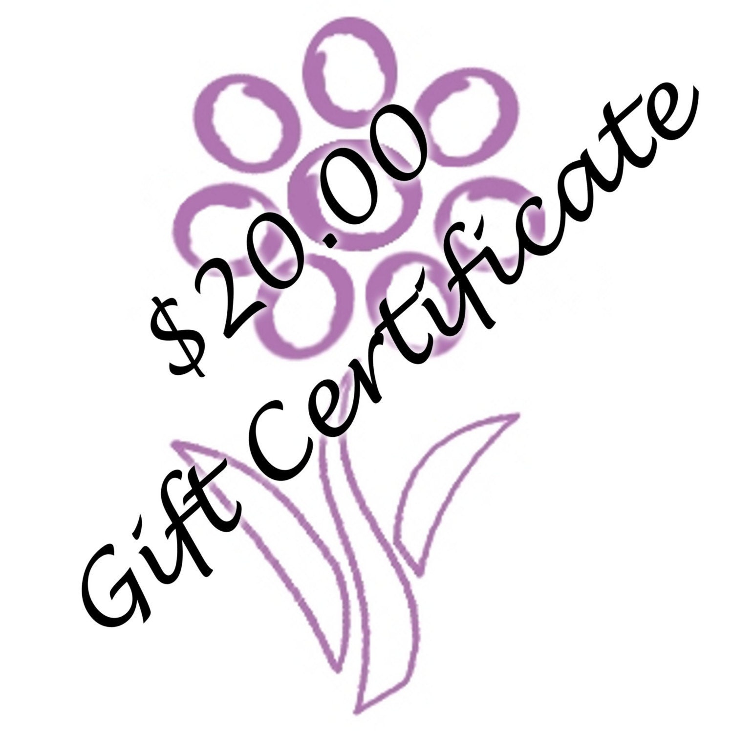 20 Dollar Gift Certificate