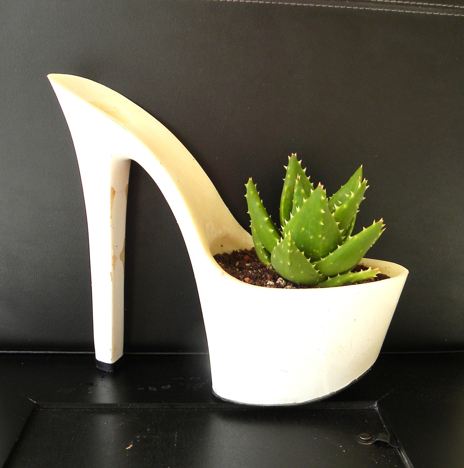 succulent planter. reclaimed stiletto high heel. bachelorette hostess gift. eco friendly. aloe plant for indoor garden