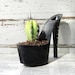 SALE Drunk Girl. stiletto cactus planter. feminist art. reclaimed rhinestone high heel.