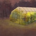 Greenhouse at Dusk