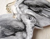 Passerine Dangle Earrings -  Lightweight Black and White Plastic - Original Nature Drawing