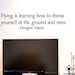 Flying Quote - Douglas Adams - Vinyl Wall Decal - Painted Appearance