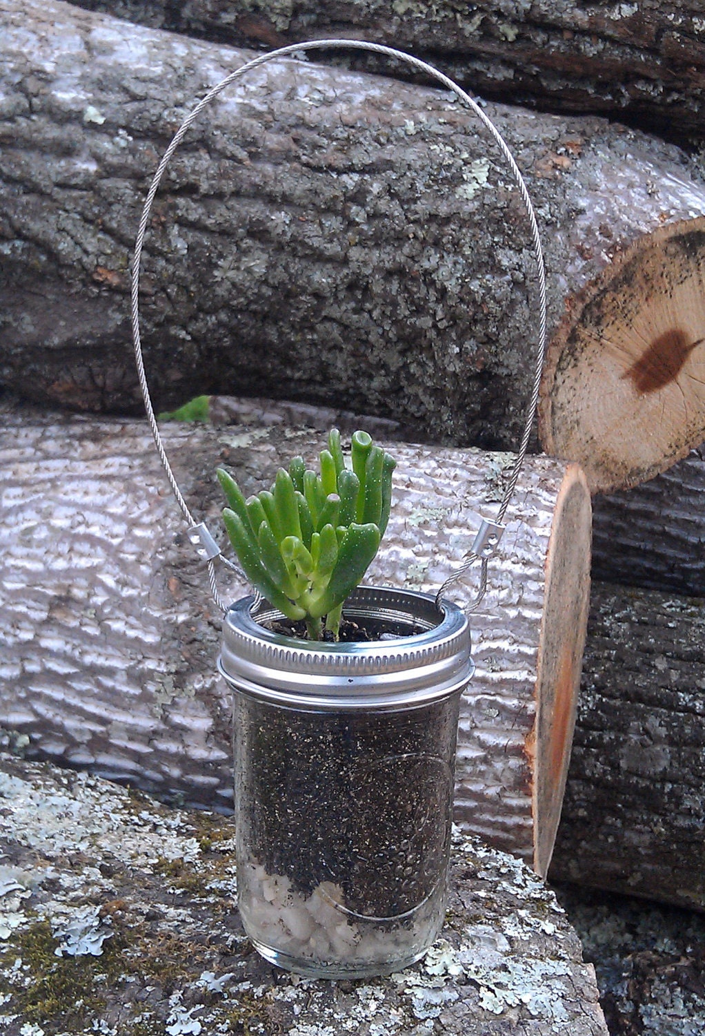 Mason Jar Succulent Planter Half Pint Jar