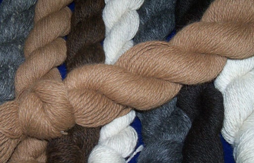 100% Alpaca Yarn - 2 ply DK in Caramel (Medium Fawn) - Alma Park Exclusive 200 yards