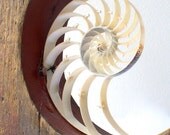 assemblage art - 'blow the man down'
