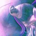 Millionare Art, Abstract Photography, Dream Art Photos by mystic2awesome