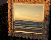 SUMMER SALE  Natural Wonder Cockle Shell and Beach Mix Mirror