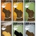 LABRADOR Retriever Coffee Company graphic art giclee print 8x16 inches Signed by artist