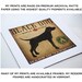 CANOE RIDE Chocolate Lab 16 x 16 inch Giclee Print SIGNED by Ryan Fowler