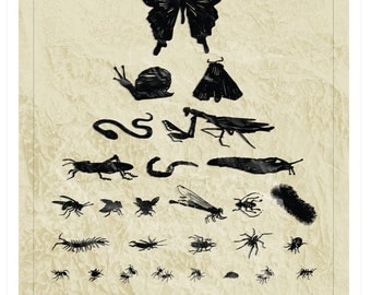 I See Bugs, from Collections Series, Gardener's Eye Chart