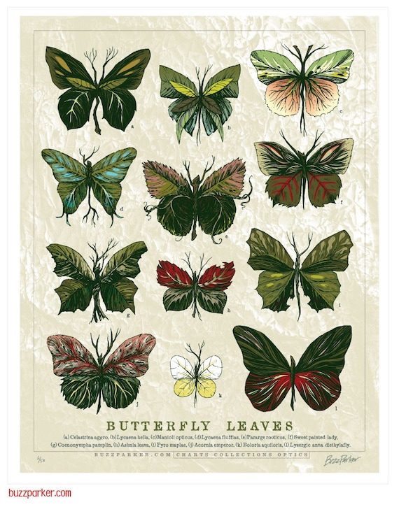 Butterfly Leaves, 11x14 Limited Edition Art Print