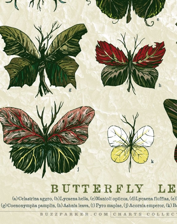Butterfly Leaves, 11x14 Limited Edition Art Print