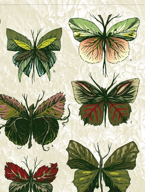 Butterfly Leaves, 11x14 Limited Edition Art Print
