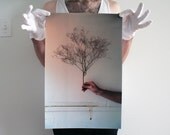 Winterous Autumnus - 12x18 Fine Art Photographic Print