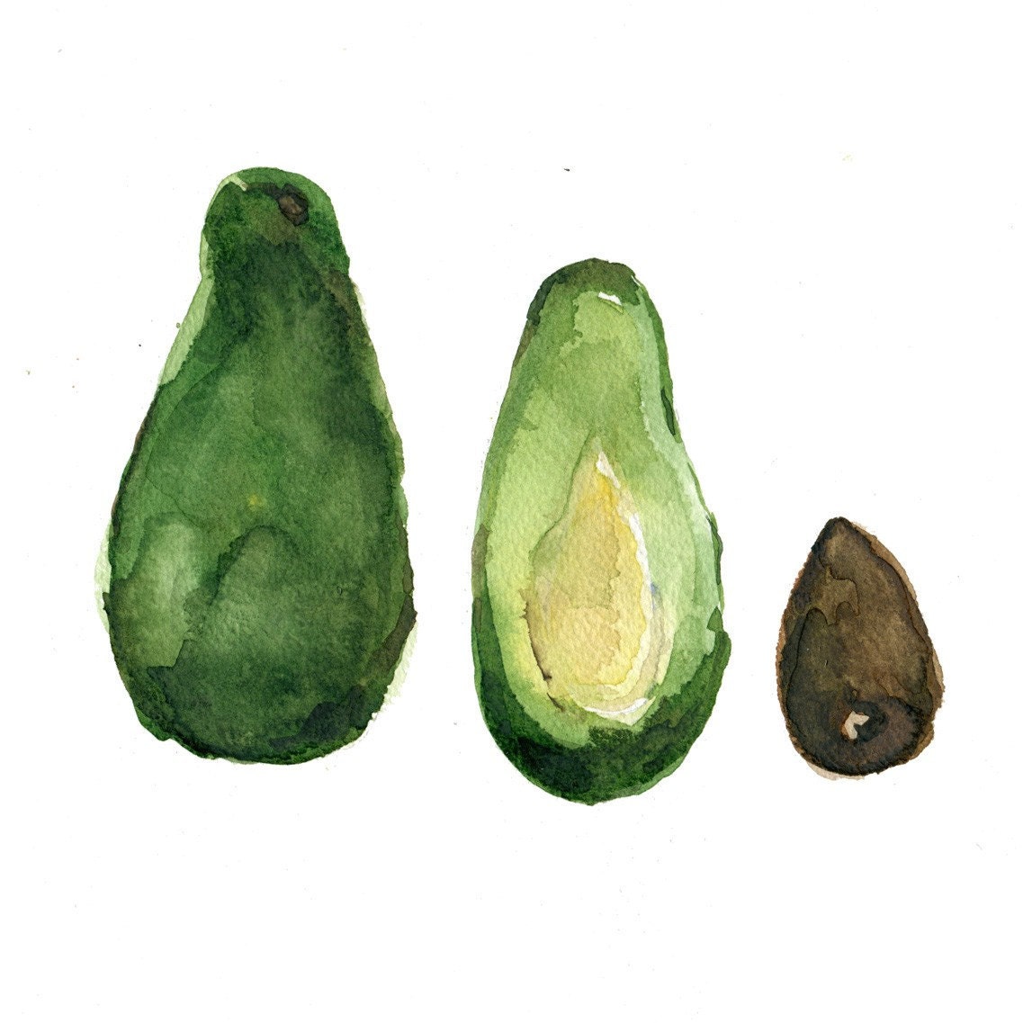 Avocado Study art print of original watercolor painting, Avocdadi green, brown, still life, botanical, kitchen art, kitchen decor