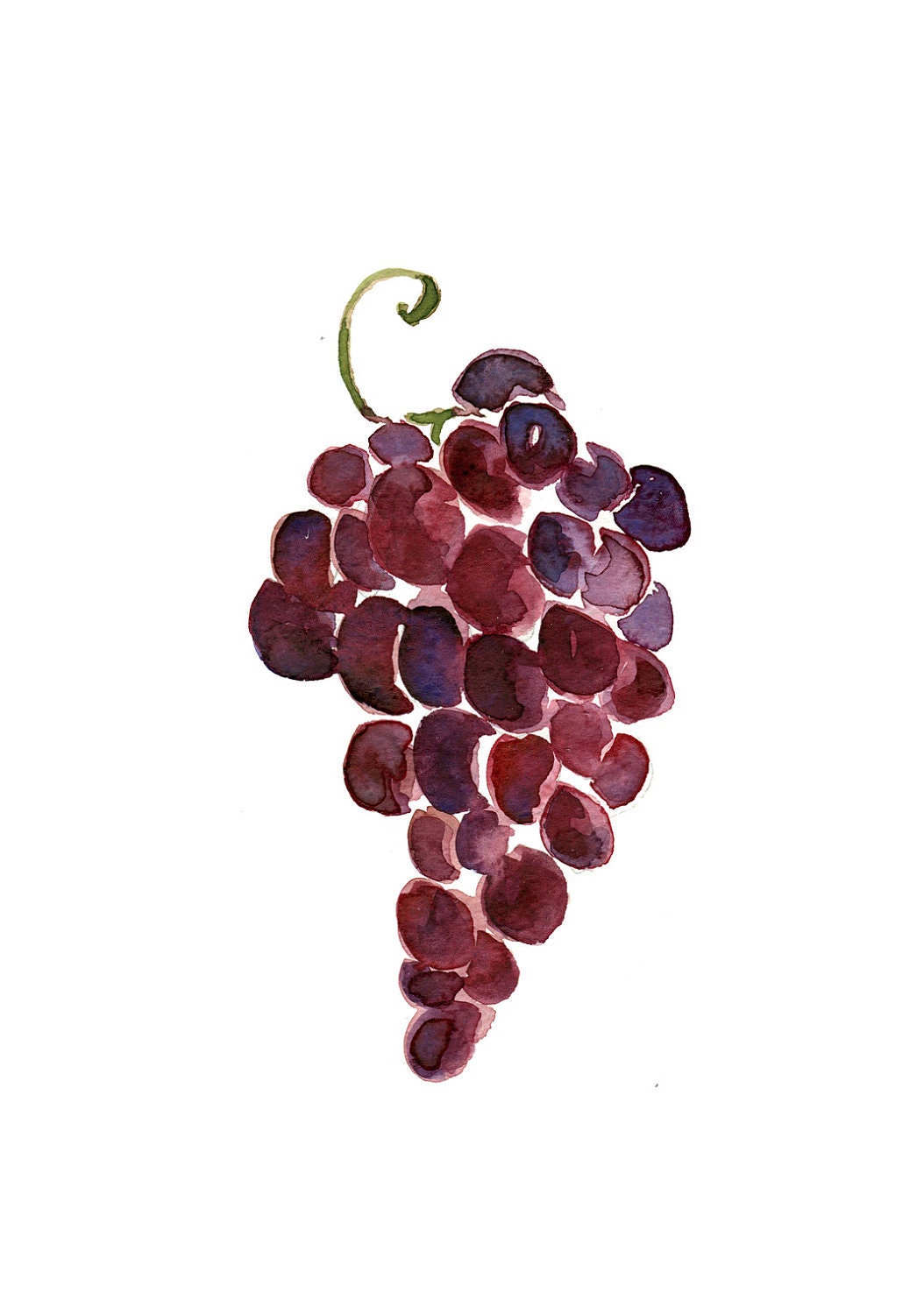 Grapes Print of  original watercolor painting , purple grapes, Still life painting ,Purple and  Aubergine , kitchen art, wall decor