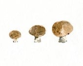 3 little mushrooms  art Print of Original Watercolor painting,  still life, botanical, woodland, natural history. kitchen decor, kitchen ar