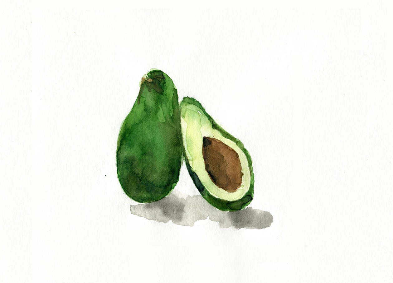 Avocado Study  No.2 artl Print of my original watercolor painting, botanical ,limited edition, still life,  kitchen art