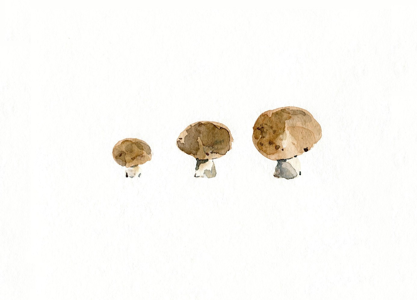 3 little mushrooms art Print of Original Watercolor painting, still life, botanical, woodland, natural history. kitchen decor, kitchen ar