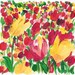 Tulips field Study, Art Print of original acrylic painting colorful , limited edition, bright colors, mothers day, digital art print