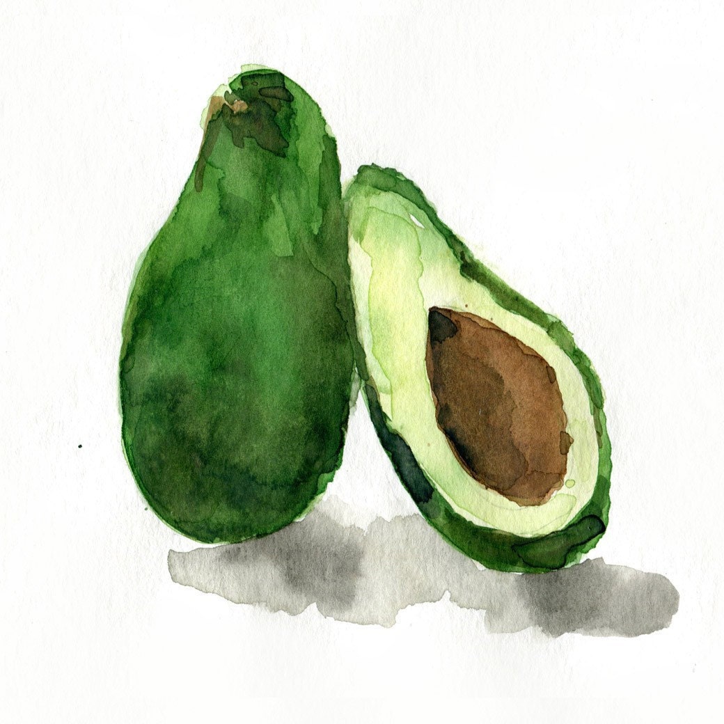 Avocado Study  No.2 artl Print of my original watercolor painting, botanical ,limited edition, still life,  kitchen art
