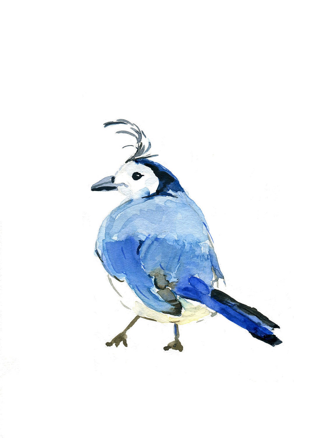 Blue Bird Print of  original watercolor painting, funny, nature, natural history, woodland, nursery decor Blue Topaz Navy blue
