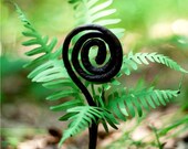 monkey tail fern cluster -  paper flowers for wedding, gift, and decor