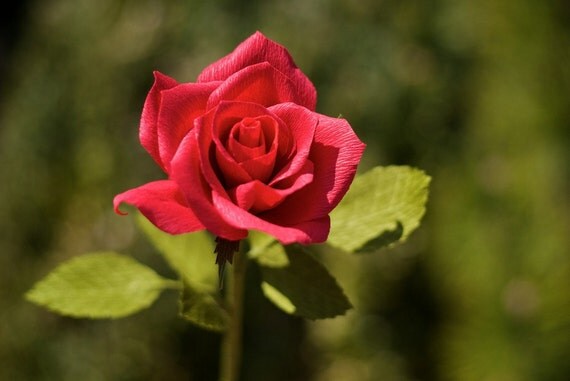 short stem red rose - paper flowers for gift, wedding, or home decor