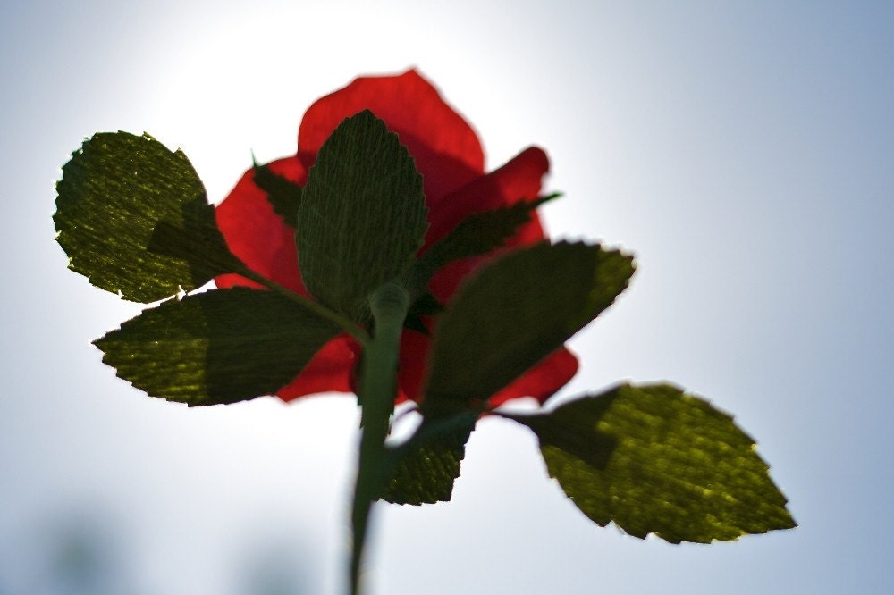 short stem red rose - paper flowers for gift, wedding, or home decor