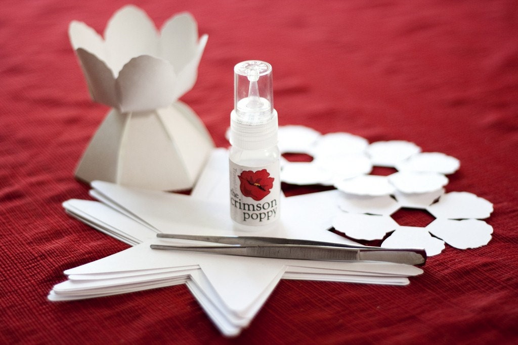 DIY - make your own paper flower wedding favor box - COMPLETE kit for 10 gerbera daisy boxes