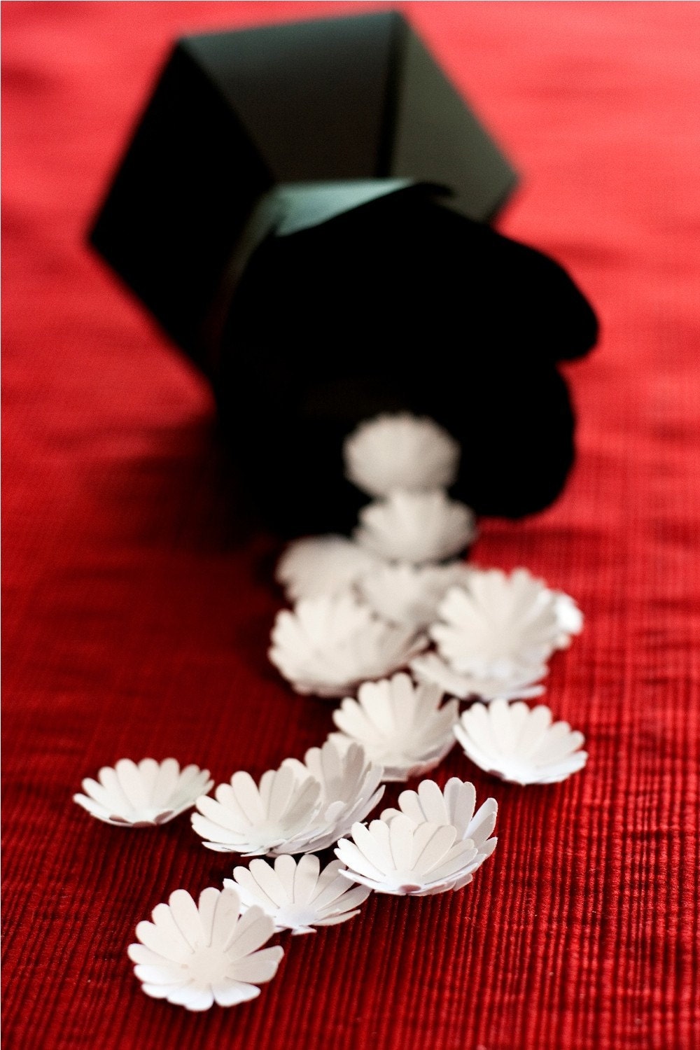 daisy confetti - decorate, toss, or fill an envelope - eco friendly