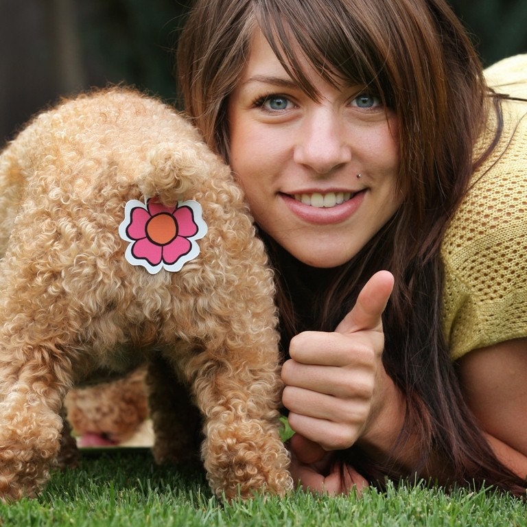 Rear Gear.  Butt Covers for your Cat and Dog...