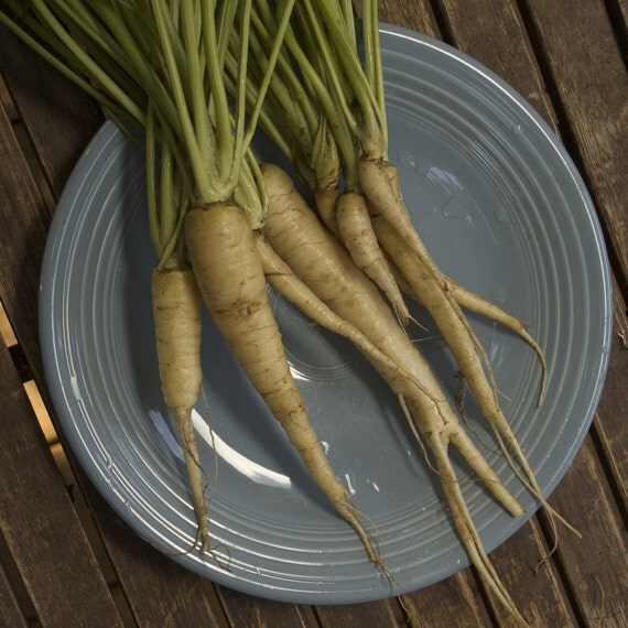 Organic Lunar White Carrot Seeds