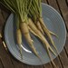 Organic Lunar White Carrot Seeds