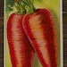 Organic Carrot Seeds - Chantenay Red Cored Carrot Seeds