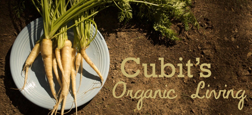 Organic Lunar White Carrot Seeds