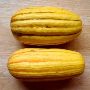 Organic Delicata Winter Squash Seeds