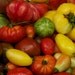 Organic Heirloom Tomato Seed Six Pack