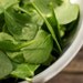 Organic Bloomsdale Spinach Seeds