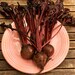 Organic Bulls Blood Beet Seeds