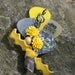 Yellow and Gray Guitar Pick Boutonniere