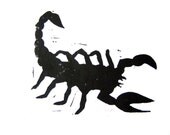 PRINT - Scorpion BLACK (linocut) 8x10