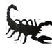 PRINT - Scorpion BLACK (linocut) 8x10