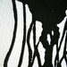 LINOCUT PRINT - Jellyfish BLACK letterpress silhouette marine poster 8x10